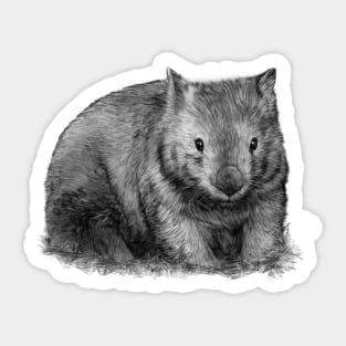 Wombat Sticker